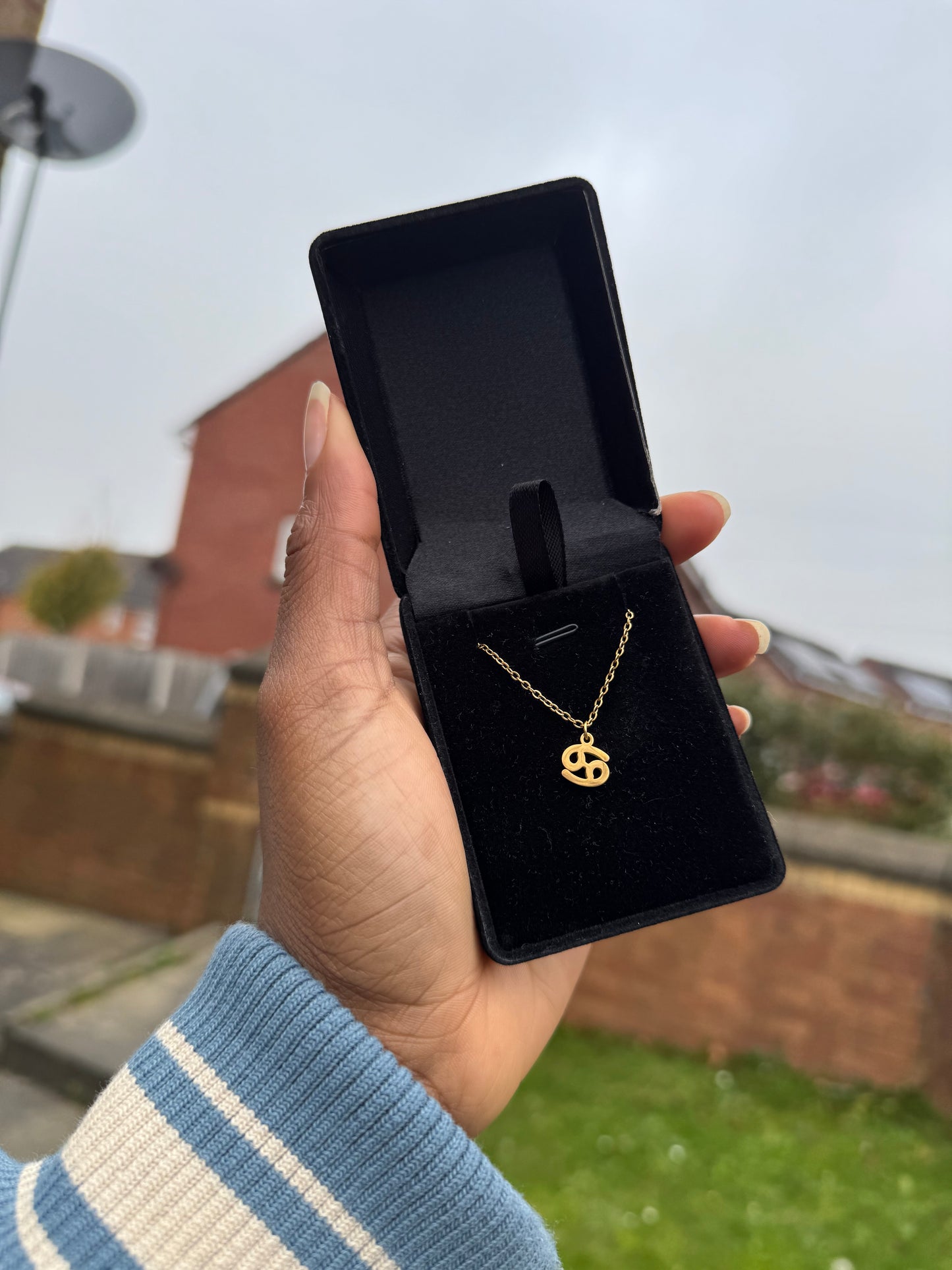 Zodiac Sign Necklace