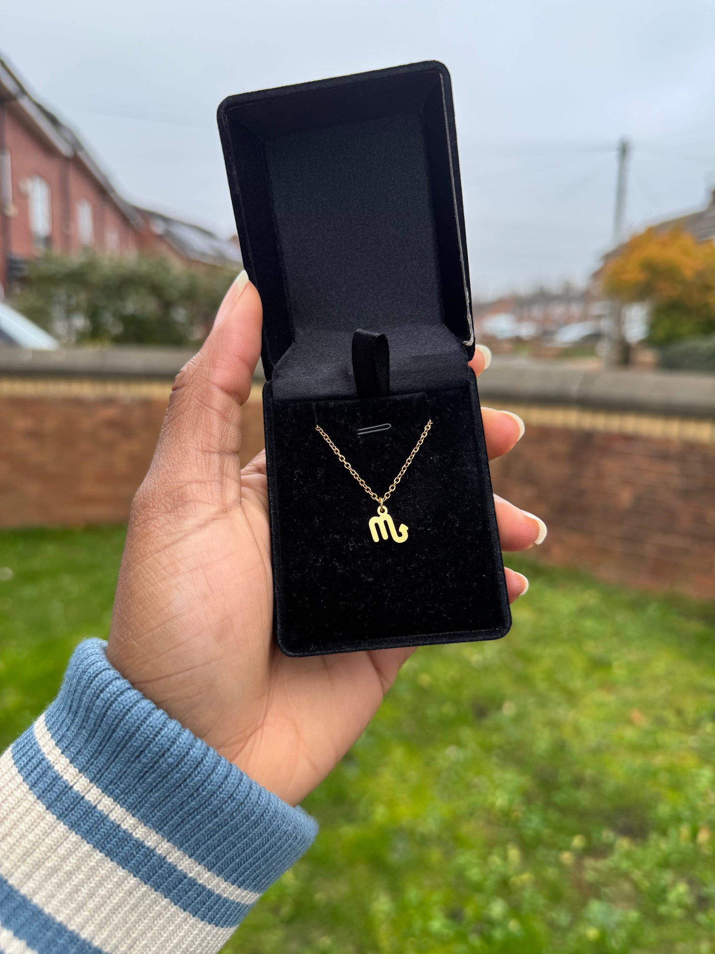 Zodiac Sign Necklace